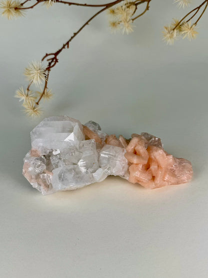 Apophyllite on Stilbite Cluster