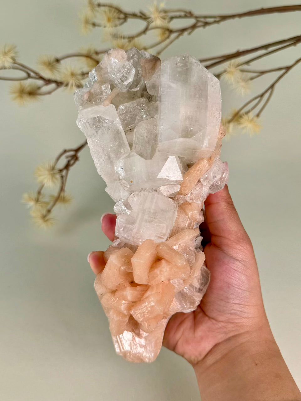 Apophyllite on Stilbite Cluster