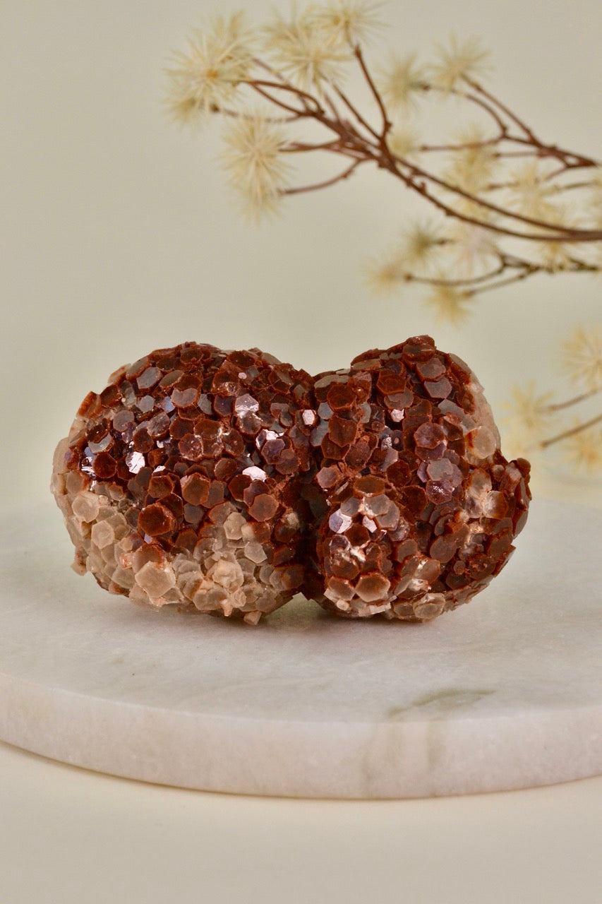 Aragonite Rose (Morocco) B