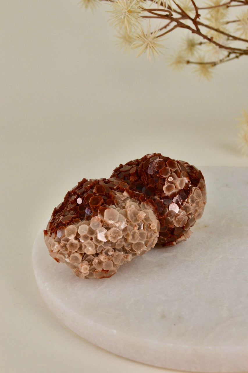 Aragonite Rose (Morocco) B