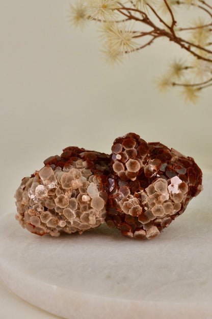 Aragonite Rose (Morocco) B