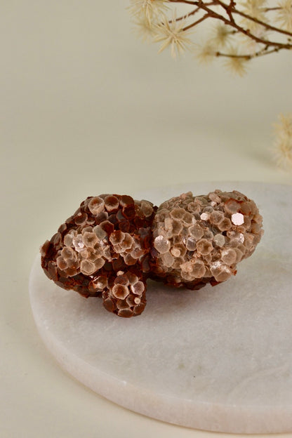 Aragonite Rose (Morocco) B