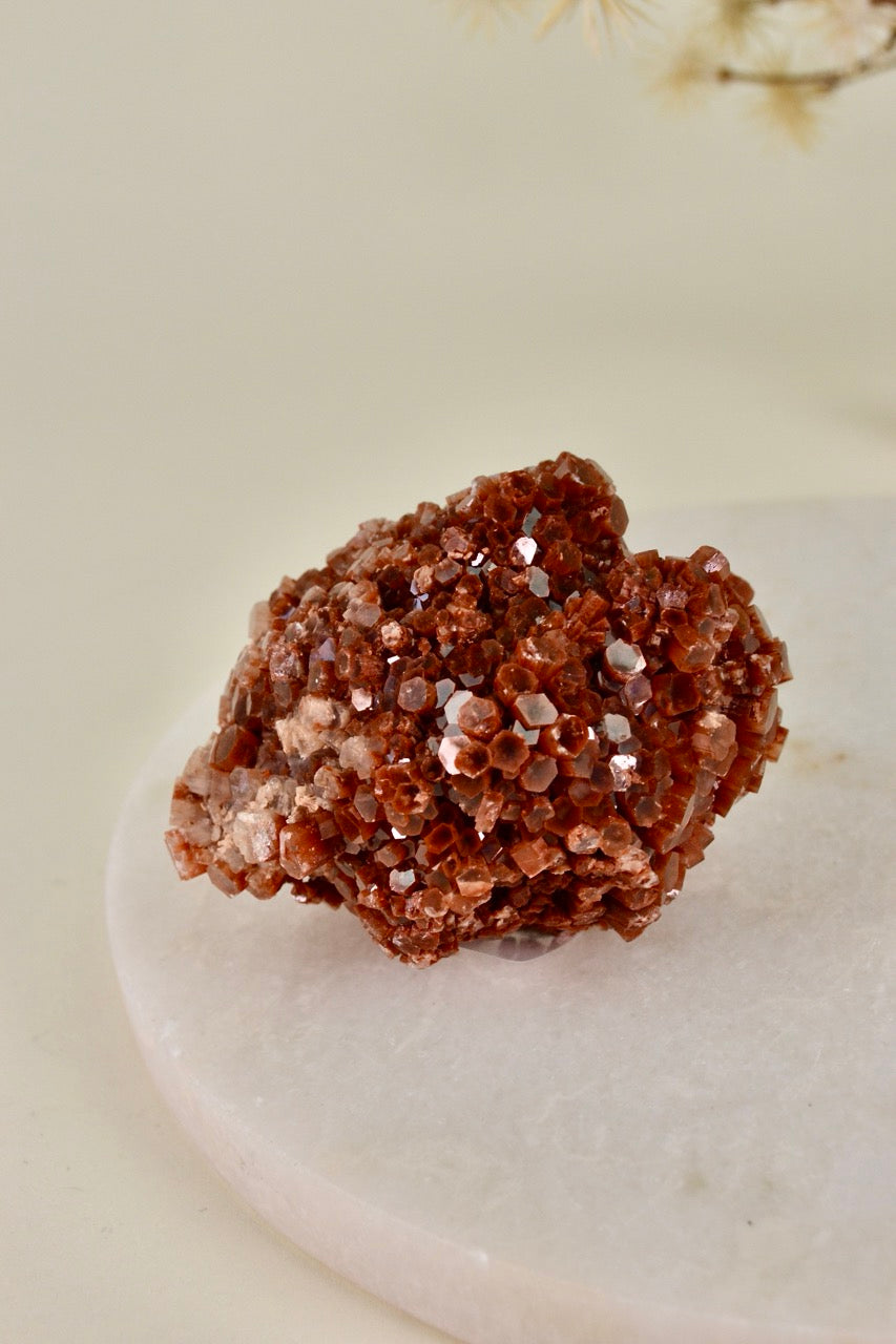 Aragonite Rose (Morocco) A