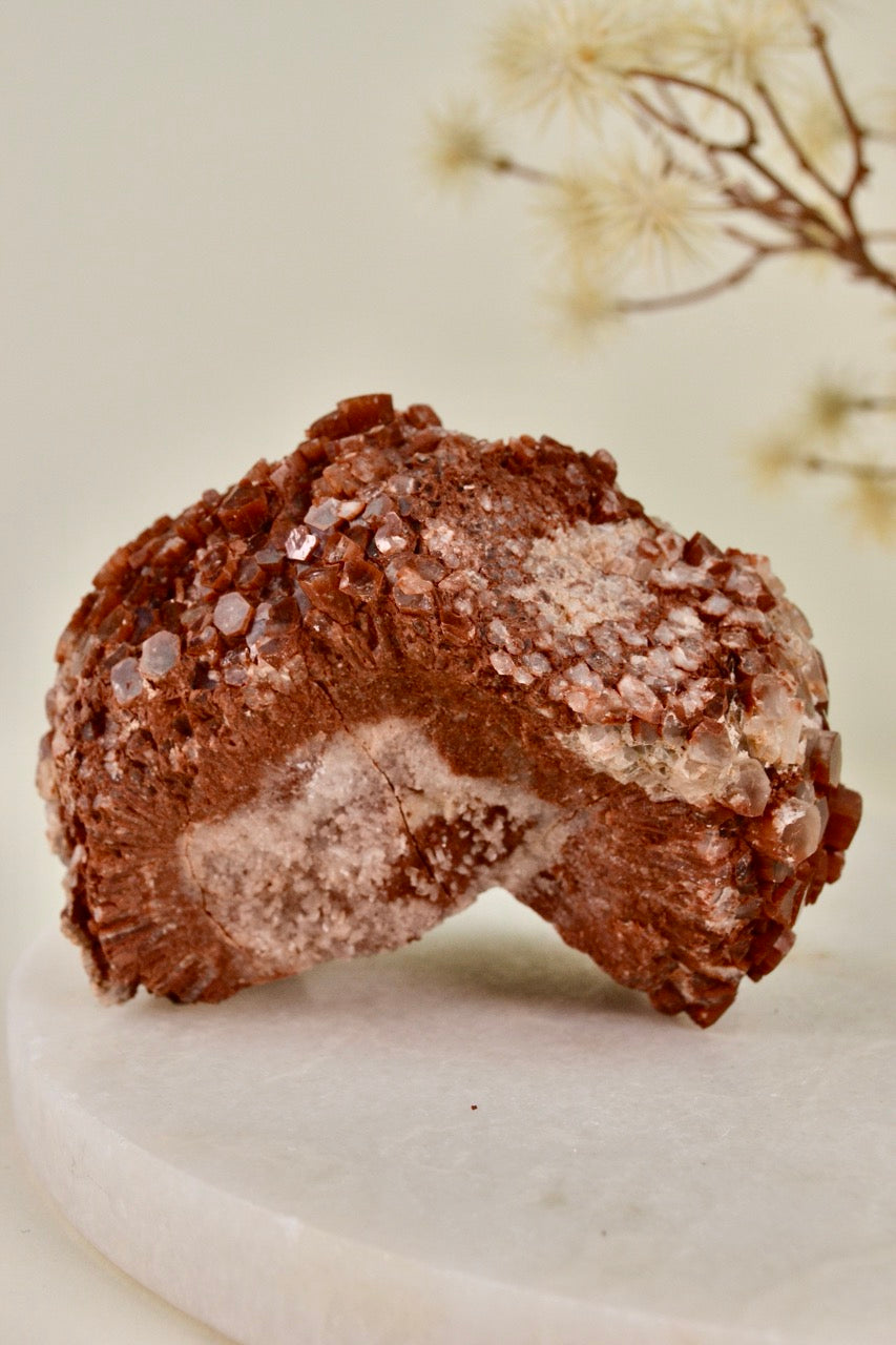 Aragonite Rose (Morocco) C