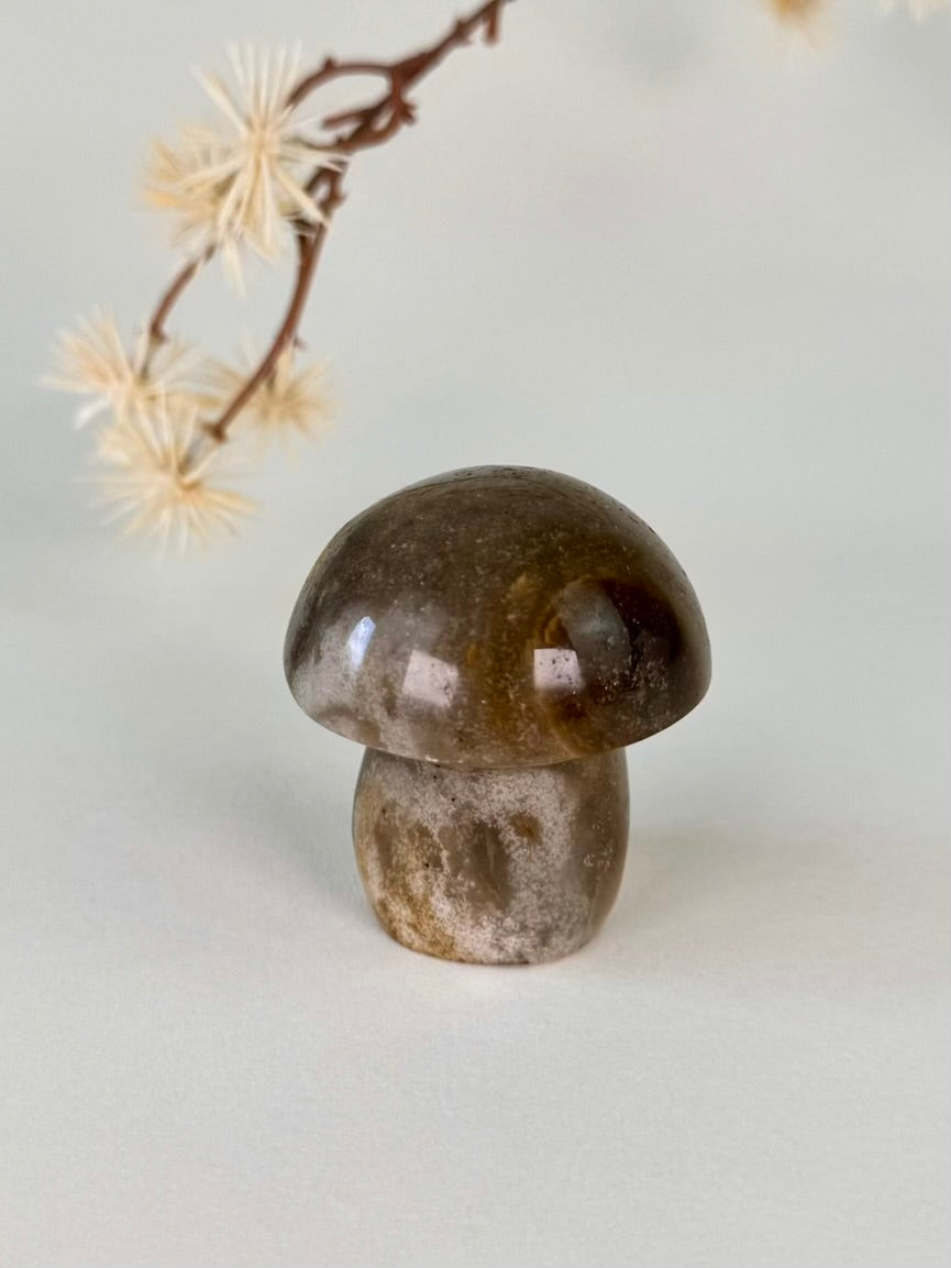 Ocean Jasper Mushroom A