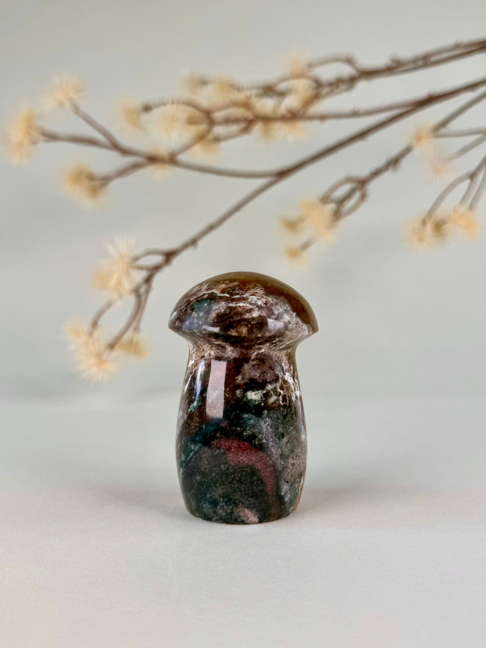 Ocean Jasper Mushroom B