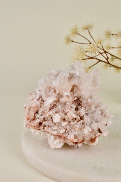 White + Peach Aragonite Cluster (Mexico)