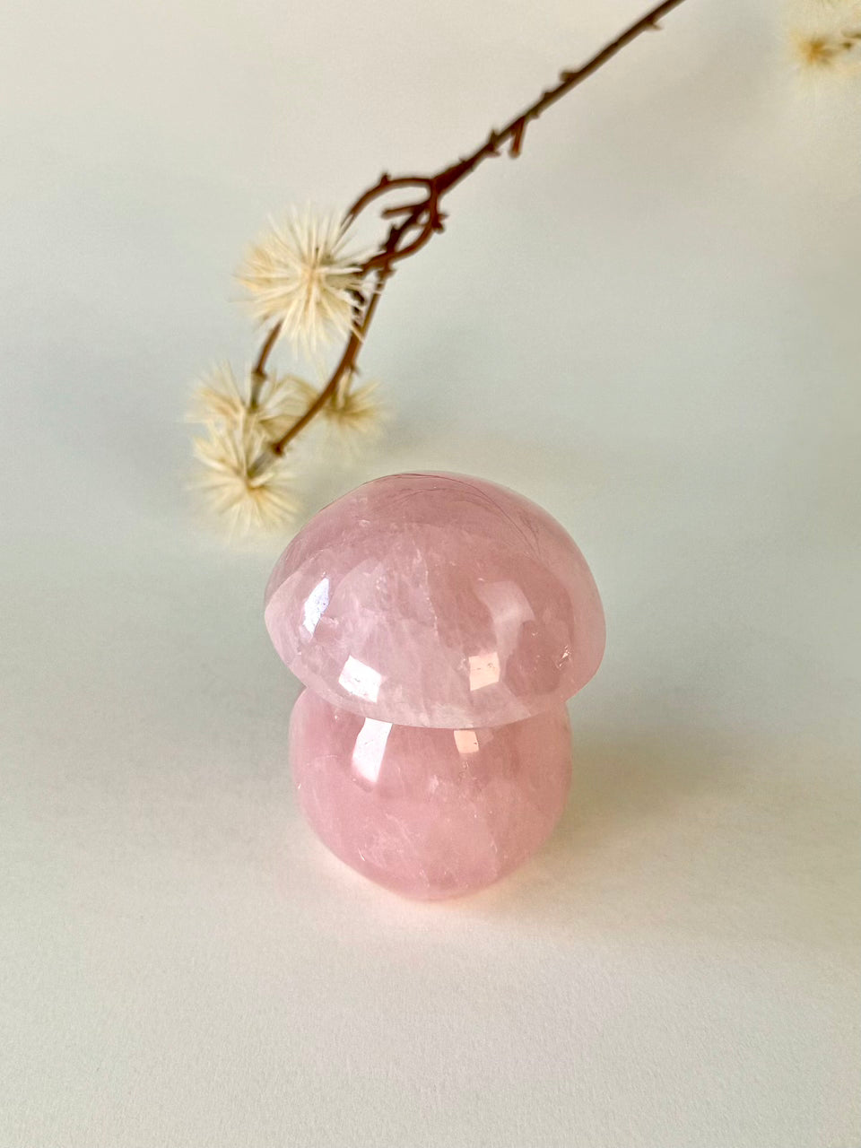 Rose Quartz Mushroom B