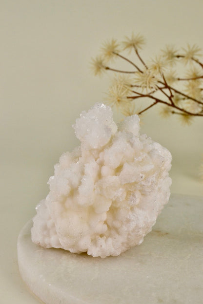 White Aragonite Cluster (Mexico) C