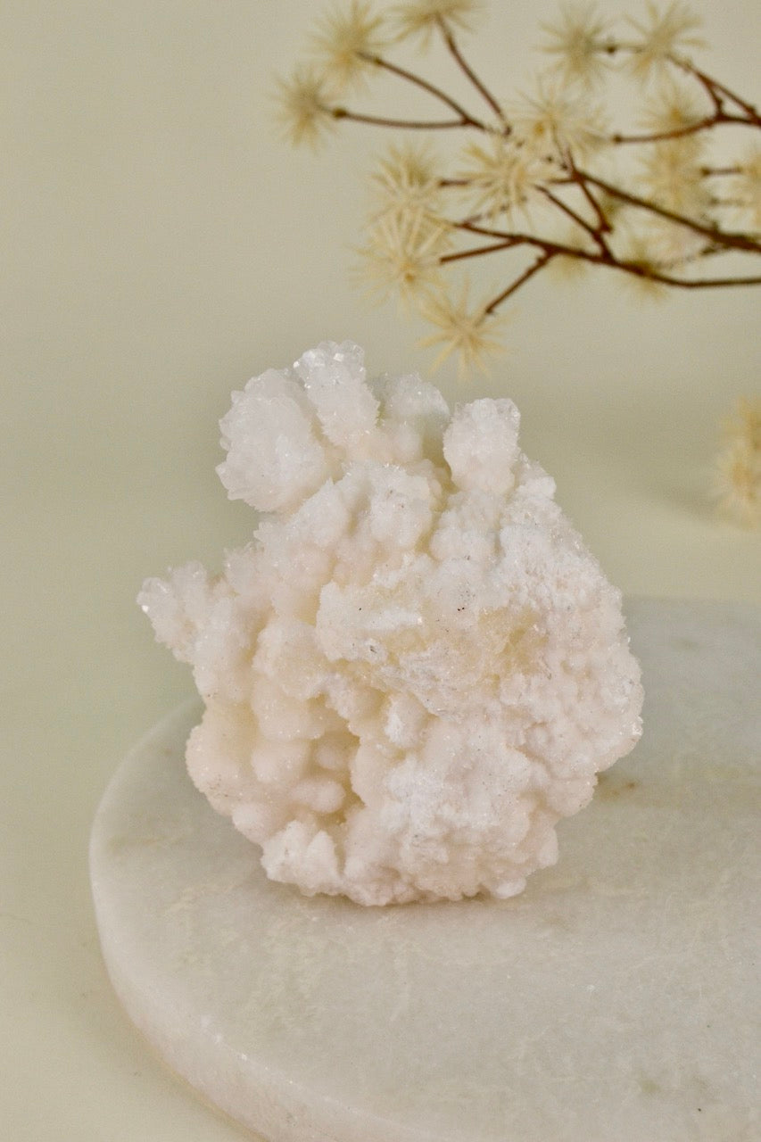 White Aragonite Cluster (Mexico) C