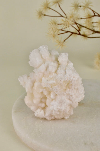 White Aragonite Cluster (Mexico) C