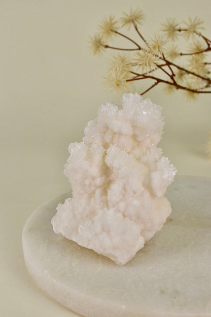 White Aragonite Cluster (Mexico) C