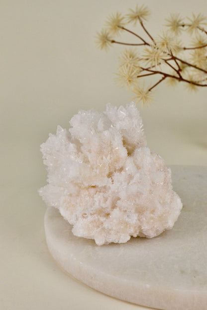 White Aragonite Cluster (Mexico) B