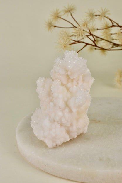 White Aragonite Cluster (Mexico) C