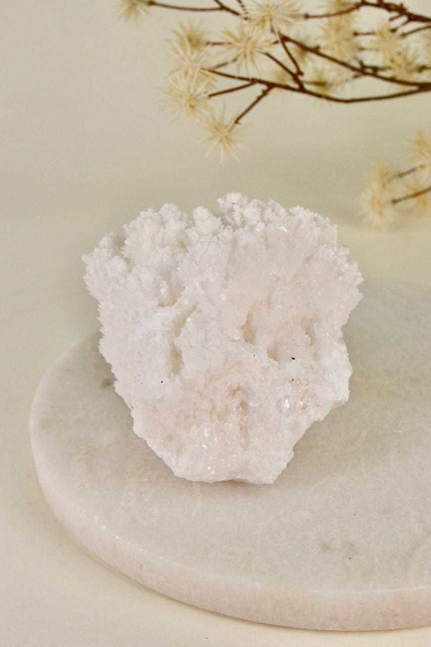 White Aragonite Cluster (Mexico) F