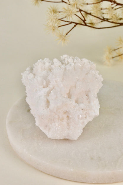 White Aragonite Cluster (Mexico) F