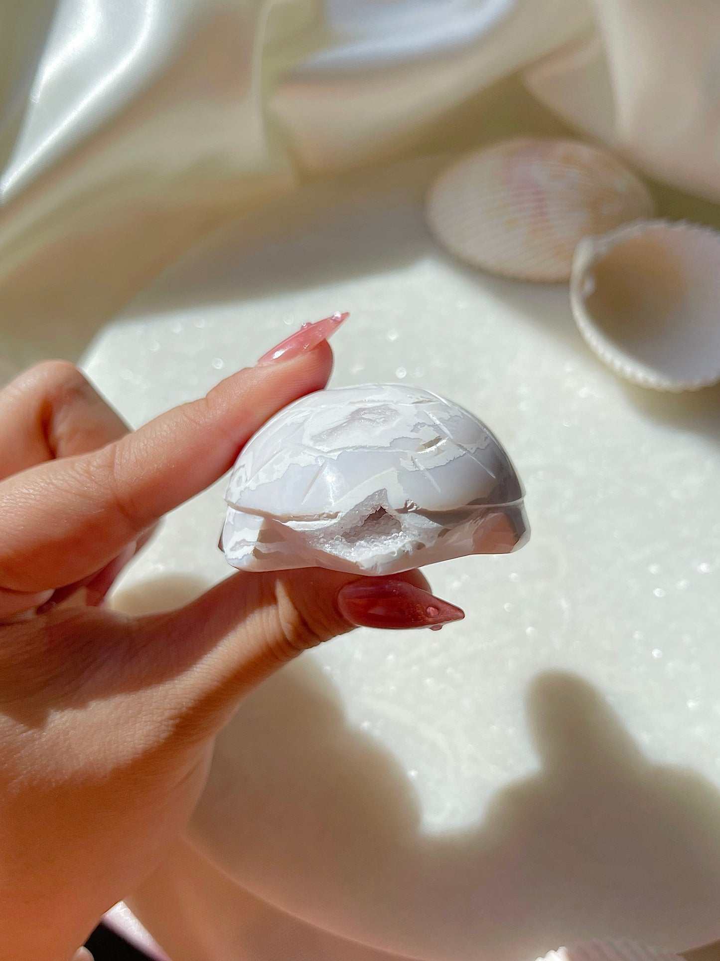 White Snow Plume Agate Turtle